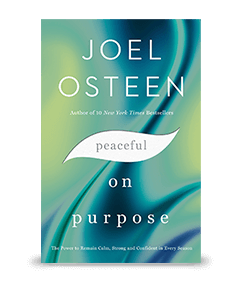 Peaceful on Purpose Book